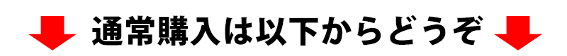 通常購入は以下からどうぞ